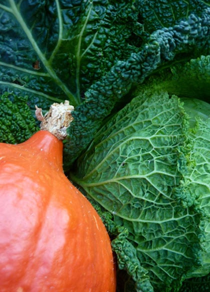 Potager d'un air de campagne